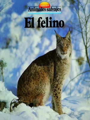 cover image of El felino
